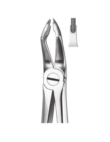 Pulidor dental M117 Forceps Molares Superior para Esterilización - Carl Martin