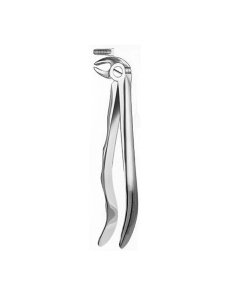 313 Forceps Raices - Carl Martin