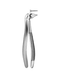 Pulidor dental 136 Forceps Raices Inferiores para Esterilización - Carl Martin