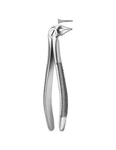 Pulidor dental 136 Forceps Raices Inferiores para Esterilización - Carl Martin