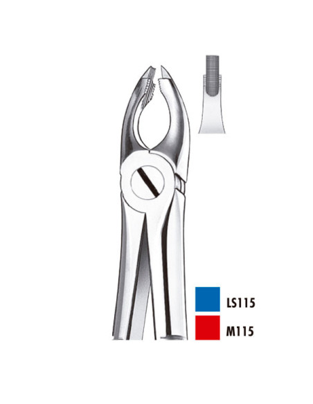 Pulidor dental M115 Forceps Incis canino Sup para Esterilización - Carl Martin