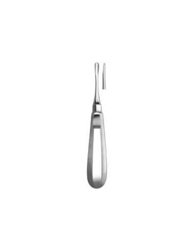 Instrumental dental 588 2 Botador Schwal Recto - Carl Martin