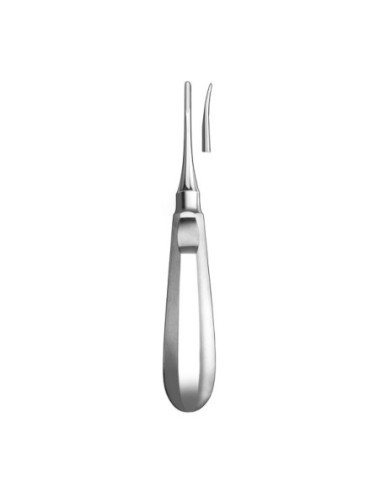 Instrumental dental 588 3 Botador Schwal Curvo - Carl Martin