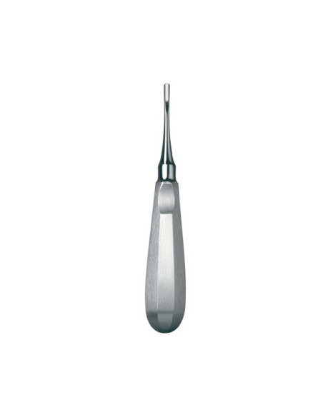 Instrumental dental 588 6 Botador Schwal Recto - Carl Martin