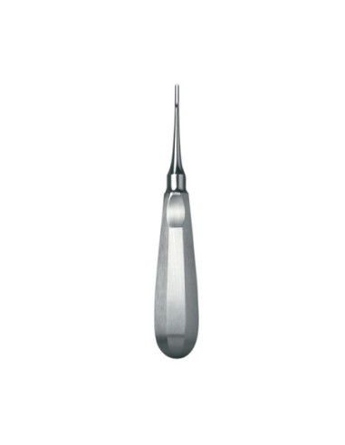 Instrumental dental 588 7 Botador Schwal Curvo - Carl Martin