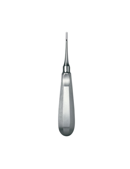 Instrumental dental 588 7 Botador Schwal Curvo - Carl Martin