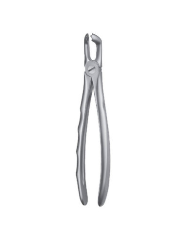 Instrumental dental LS79 Forceps Cordales Inf Liquid Steel - Carl Martin