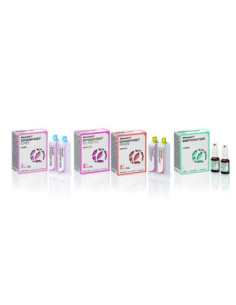 Silicona dental GINGIFAST CAD RIGID (2x50ml ) - Zhermack