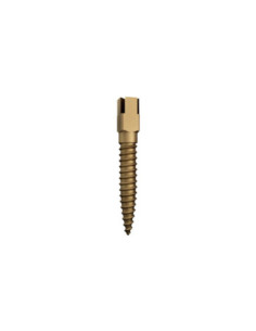 Postes Acero Y Titanio Tornillo Dor Rst s6 Dentatus - Dentatus/abrasive/garriso