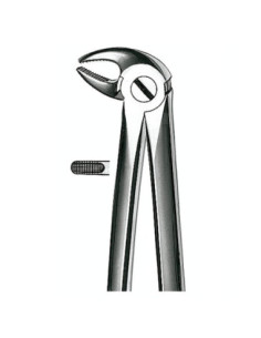 E13 Forceps N 13 Premolar Inf - Carl Martin 2
