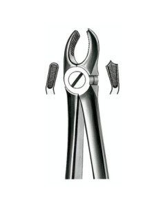 E17 Forceps N 17 Molar Sup dcho - Carl Martin 2