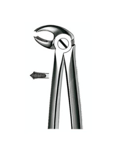 E22 Forceps N 22 Molar Inf - Carl Martin 2