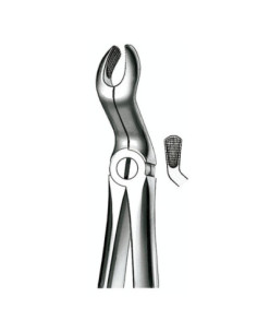 Instrumental dental E67A Forceps N 67a Cordal Sup - Carl Martin 2