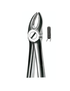 E7 Forceps N 7 Premolar Sup - Carl Martin 2