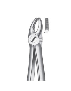 Pulidor dental 7 Forceps Premolar Superior para Esterilización - Carl Martin 2