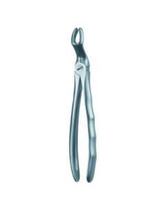Pulidor dental 67a Forceps Cordal Superior para Esterilización - Carl Martin 2