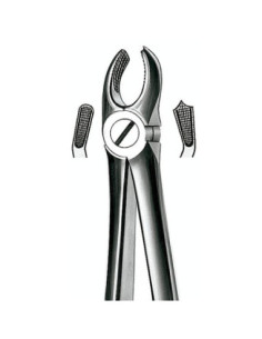 Pulidor dental 17 Forceps Molar Sup Derecho para Esterilización - Carl Martin 2