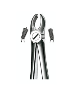 Pulidor dental 18 Forceps Molar Sup Izquierd para Esterilización - Carl Martin 2