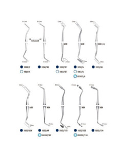 Cemento dental 1052 6 Inst obturacion Ash para Composite - Carl Martin 2