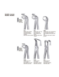 Instrumental dental LS22 Forceps Molar Inf Liquid Steel - Carl Martin 2