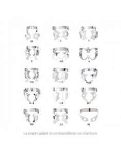 Clamps Y Wedjets W14 Clamp Sin Ala Molares - Hygenic