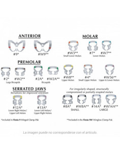 Clamps Y Wedjets W3 Clamp Sin Ala Molares - Hygenic