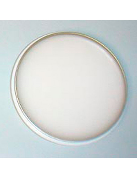 Cera Presentacion Blanca Tarrina 50G. - REUS