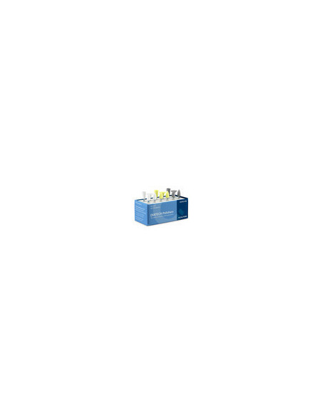 DIATECH Eco Line Polishers
